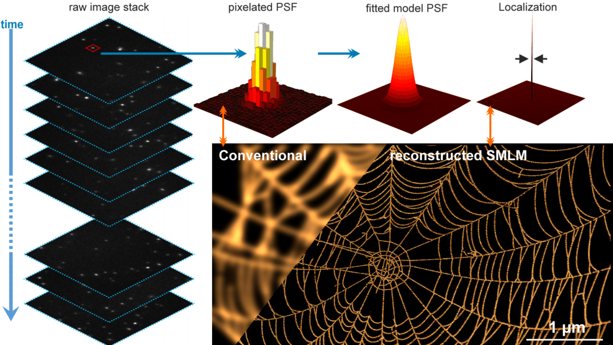 Super-Resolution Microscopy