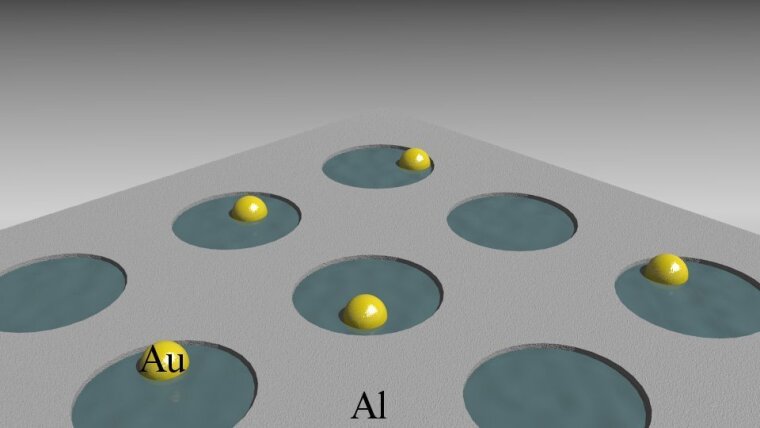 "Plasmon-unterstützte Verstärkung der Empfindlichkeit von Biosensoren"