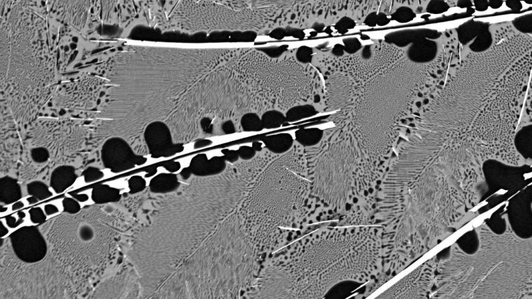 SEM micrograph in BSE contrast of multiphase Ag-semiconductor alloy