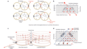 Illustration of entangled state preparation and quantum interference with the coupled fibre-loop system.